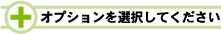 オプションを選択してください